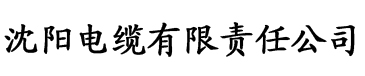 aaa黄色樱桃视频电缆厂logo